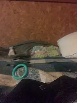 Ldnick69 élő XXX-chatje