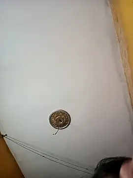 Sonam_pandeyji Webcam show