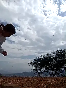 Dangerouspassion777 Pertunjukan Webcam