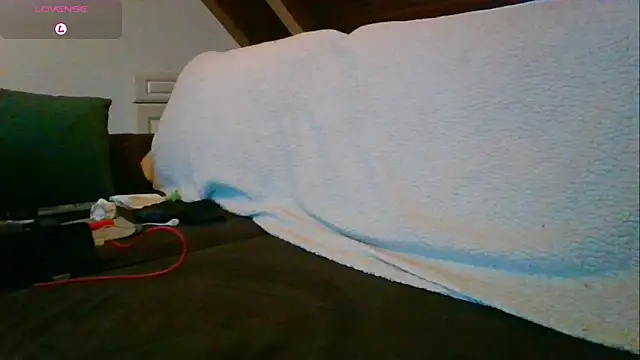 Vrenico-SC Adlı Modelin Web Kamerası Şovu