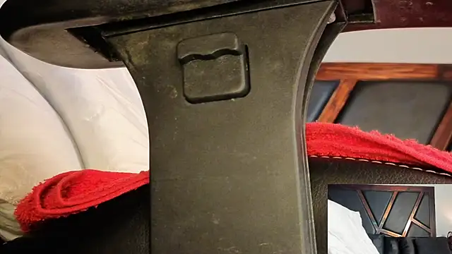 donnasotoのライブXXXチャット