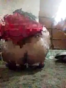 Show de aunty_sumy na webcam