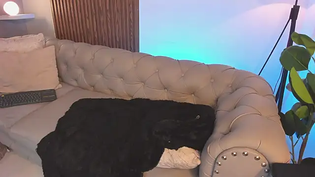 liam_collins21 웹캠 쇼