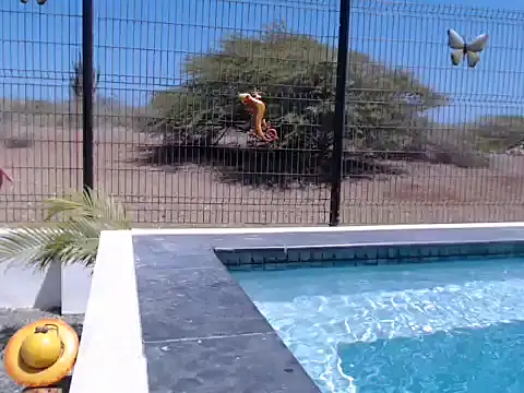 Chat +18 de Wendysexyx ao vivo