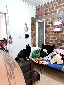 Chat +18 de NARNYALABELLA ao vivo