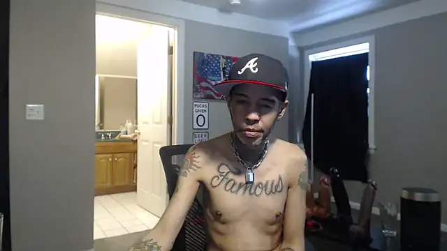 Show Webcam de Michigan9000