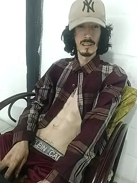 Show webcam de sk8-boy