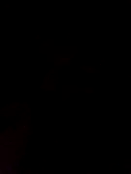 Bigvenoso 在線直播表演