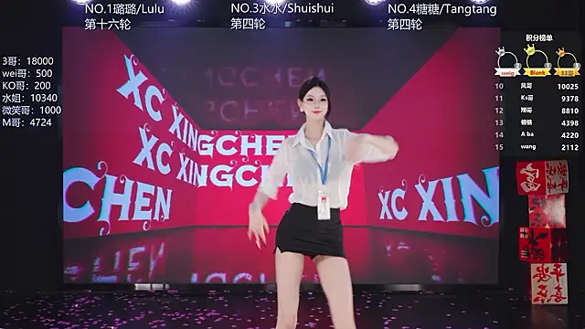 SK-001's Webcam Show