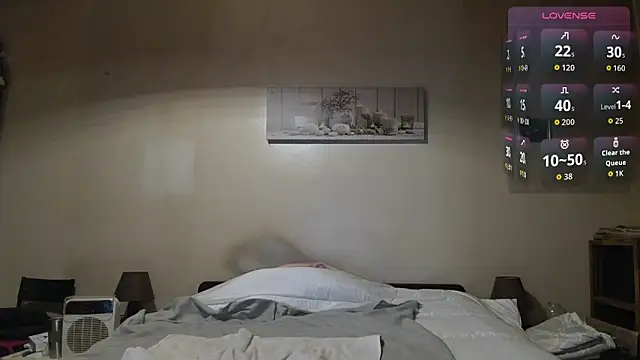 Show webcam de Hgay6935