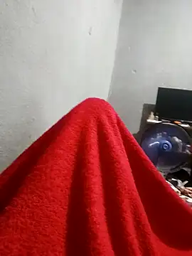 Show de Mailsonp na webcam