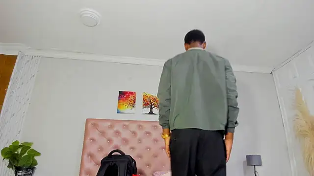 Show webcam de for_itan