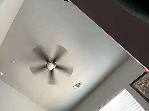 Show Webcam de 4EVAGLACIERS