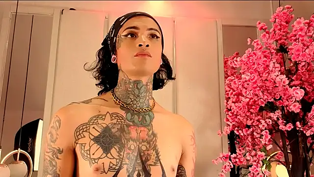 Misakiseis1 webcam show