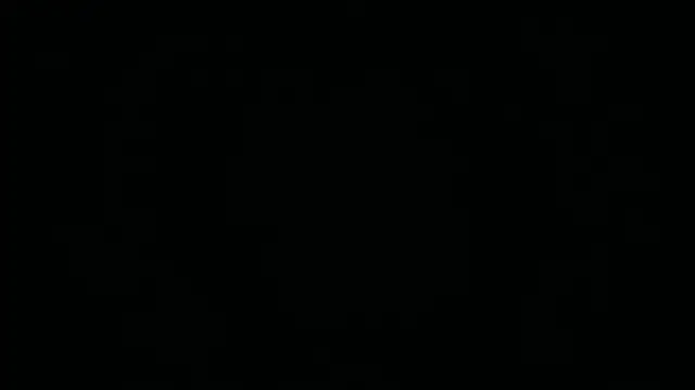 Show webcam de Lamonteik