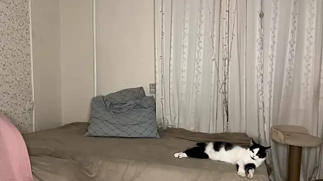 Shining_Robi Webcamshow