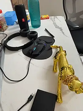 FlirtyxBoy: διαδικτυακό σόου στην κάμερα