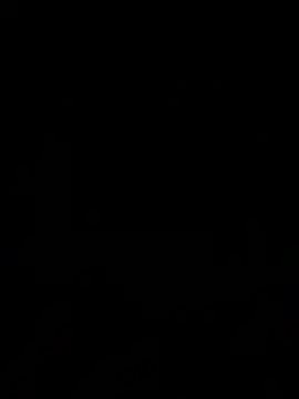 Show webcam de blablablackbi