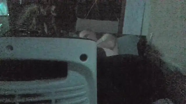 jaxx12369 Live XXX-chat