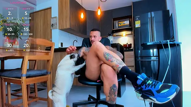 Chat +18 de fitnolan ao vivo