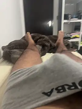 Pertunjukan Kamera Web Porragrossa1