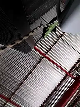 Brenda_Berck_ Live XXX Chat