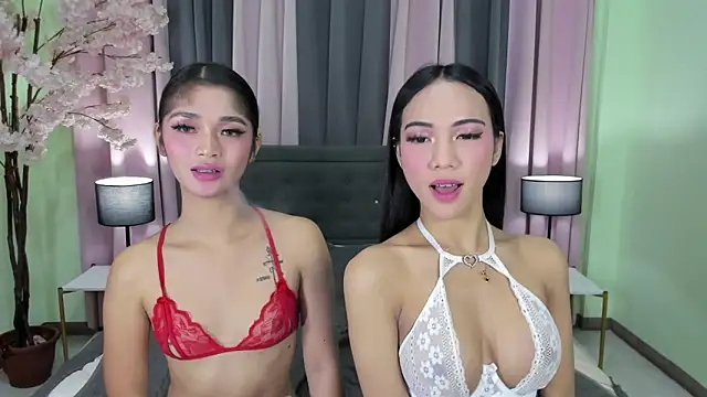 ts_bangbangera69のウェブカメラショー