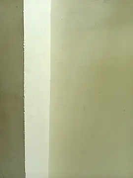 Teri_lella: διαδικτυακό σόου στην κάμερα