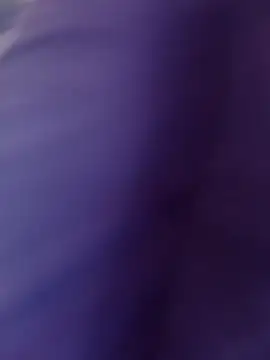 pauloandres élő XXX-chatje