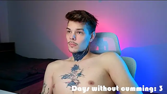 DENIS_HERE Show Webcam