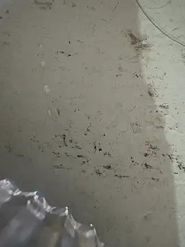 cfomega4592 Chat XXX in diretta