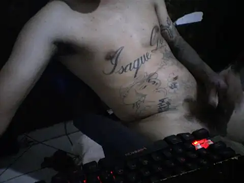 Show webcam de Davidsanyt