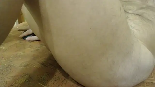 Czat XXX na żywo – VASKOS178