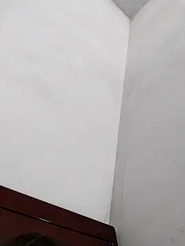 Show webcam de NIANSED