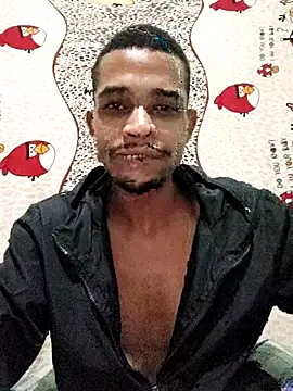 Show Webcam de LATREL22ctmtrs