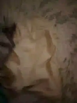 Živý XXX chat viviksmel