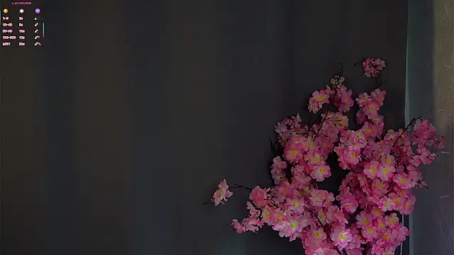 Chat +18 de VernonGarcias ao vivo