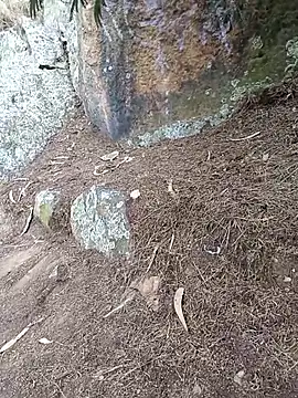 sexy-tean Show Webcam