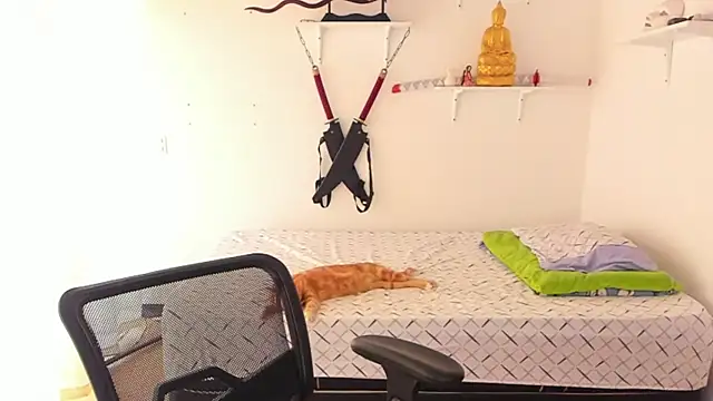 دردشة Your_Tao الجنسية المباشرة