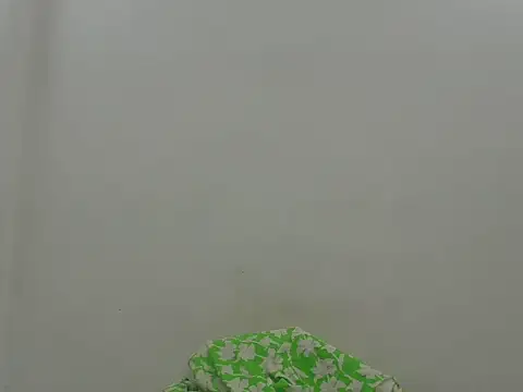 Show de Rani_Singha na webcam