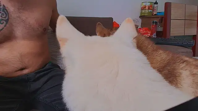 دردشة thomas_gun الجنسية المباشرة