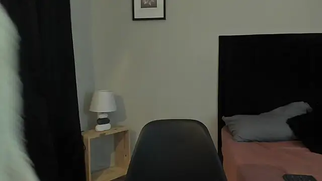 sabbrand0111n Webbikameraesitys