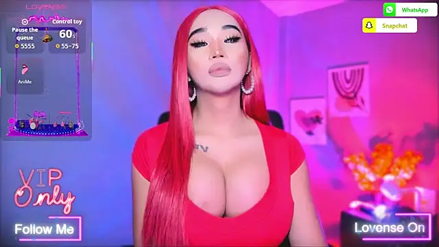 _prettyjawdropper_n Webbikameraesitys