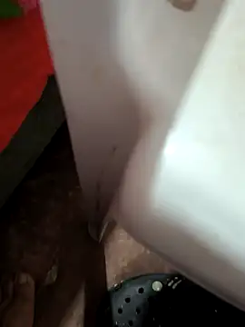 Agricultor1984 网络视讯表演