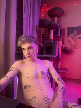 Show modela davesinner na web-kameri