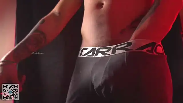 Show de webcam de AlphaMasterXxx