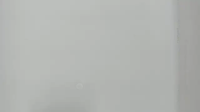 Dulce_Powl_ live XXX chat