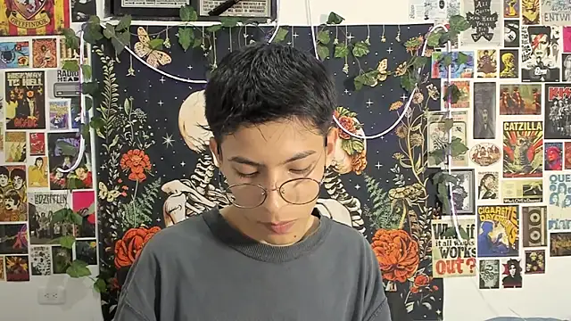 alextop_n Webbikameraesitys