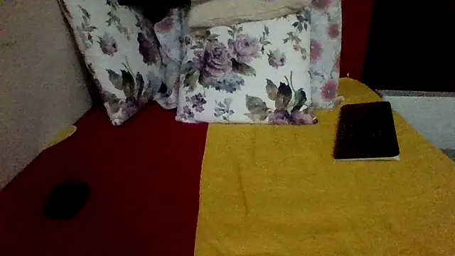 st206boyn Webbikameraesitys