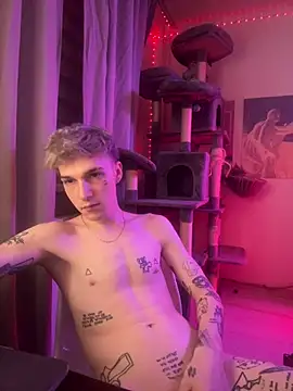 Вебкам-шоу davesinner